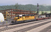 Pro Train: Sequoia Valley