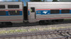Pro Train: Amtrak Viewliner I & II