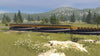 ProTrain: Badgers Pass