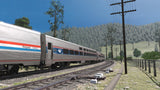 Pro Train: Amtrak Viewliner I & II