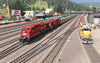 Pro Train: Sequoia Valley