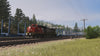 ProTrain: Badgers Pass