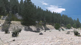 Pro Train: Kicking Horse Pass