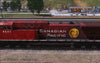 Pro Train: Sequoia Valley