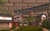 Trainz Route: Japan - Model Trainz