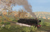 Pro Train: Pigtail Line (Sauschwänzlebahn)