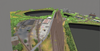 Trainz Route: Brazemore Yard