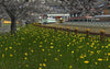 Trainz Route: Japan - Model Trainz