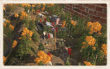 The Cilie Oldphartz Railroads
