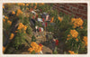The Cilie Oldphartz Railroads