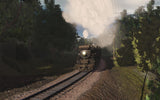 Blue Comet 2.0 - The Seashore's Finest Train