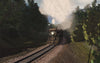 Blue Comet 2.0 - The Seashore's Finest Train