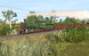 Victorian Railways V Class 2 Tone Green - Phoenix Foundry Built