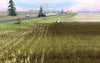 Fall Harvest Nebraska Redux