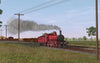 Victorian Railways Type 4 DD Class Pack - Canadian Red