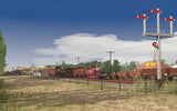 VR Healesville 1913-1920