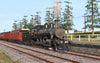 Victorian Railways V class FL Black - Phoenix Foundry Built