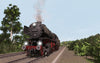 Pro Train: DB Class 44