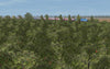 Znamensk-Svir