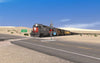 Lone Pine Branch