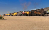 Lone Pine Branch