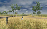 Bairnsdale to Orbost
