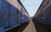 Pro Train DB Laghs Interfrigo