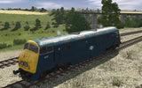 ProTrain: Class 42 Warship