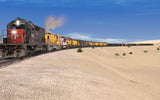 Lone Pine Branch