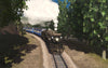 Blue Comet 2.0 - The Seashore's Finest Train