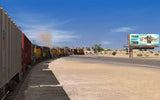 Lone Pine Branch