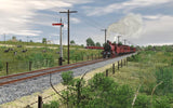 VR Healesville 1913-1920