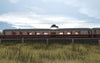 Pro Trainz® TEE Rheingold