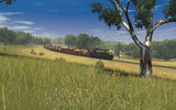 Bairnsdale to Orbost