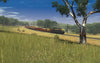 Bairnsdale to Orbost