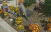 The Wattz & Voltz Interurban
