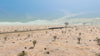Pro Train: Eureka Valley
