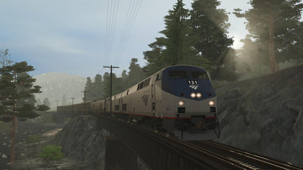 Pro Train: The Western Branch | Trainz Store