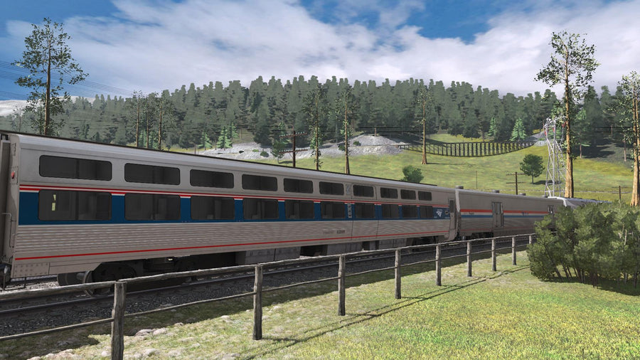 Pro Train: Amtrak Viewliner I & II | Trainz Store