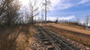 Swedaryn Island Narrow Gauge Railway