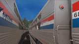 Pro Train: Amtrak Viewliner I & II