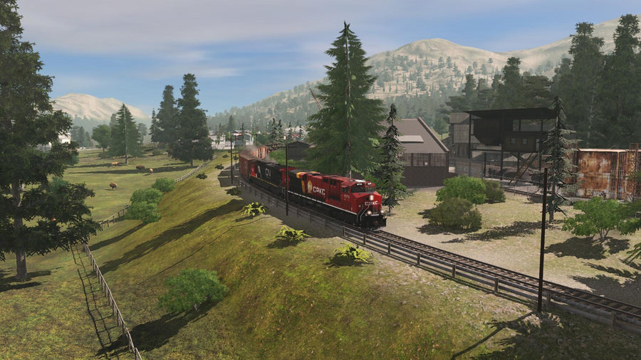 lKjcQ2DW8twP_900x.jpg