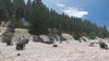 Pro Train: Kicking Horse Pass