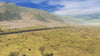 Pro Train: Eureka Valley