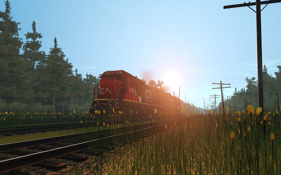 USA Route - Forest Industry | Trainz Store