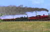 Victorian Railways Type 2 DD Class Pack